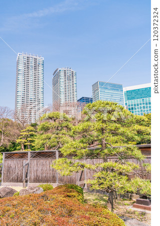 [東京] 東京的寧靜空間、濱離宮恩賜庭園的新綠、高樓 120372324