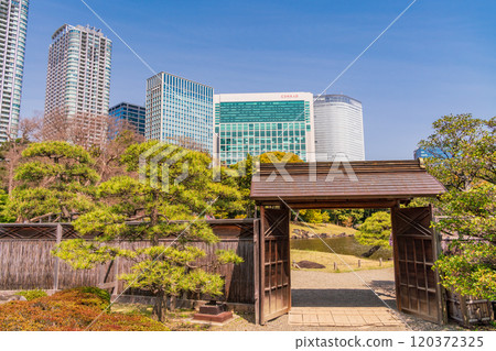 [東京] 東京的寧靜空間、濱離宮恩賜庭園的新綠、高樓 120372325