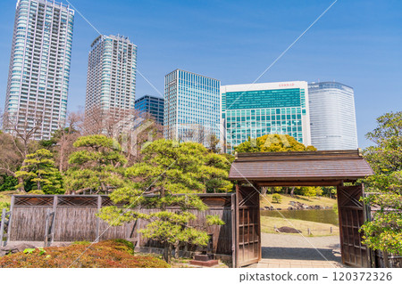 [東京] 東京的寧靜空間、濱離宮恩賜庭園的新綠、高樓 120372326