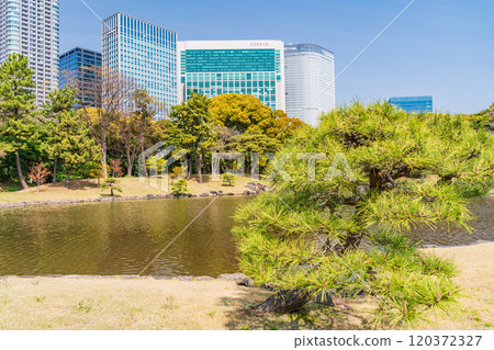 [Tokyo] A relaxing space in Tokyo: Hama-rikyu Gardens and skyscrapers surrounded by fresh greenery 120372327