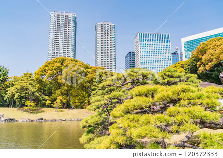[東京] 東京的寧靜空間、濱離宮恩賜庭園的新綠、高樓 120372333