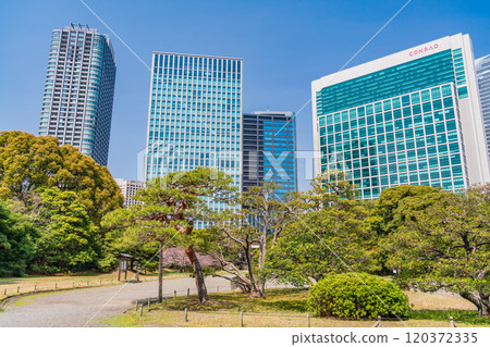 [Tokyo] A relaxing space in Tokyo: Hama-rikyu Gardens and skyscrapers surrounded by fresh greenery 120372335