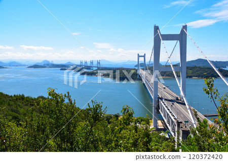 Seto Ohashi from Washuzan 120372420