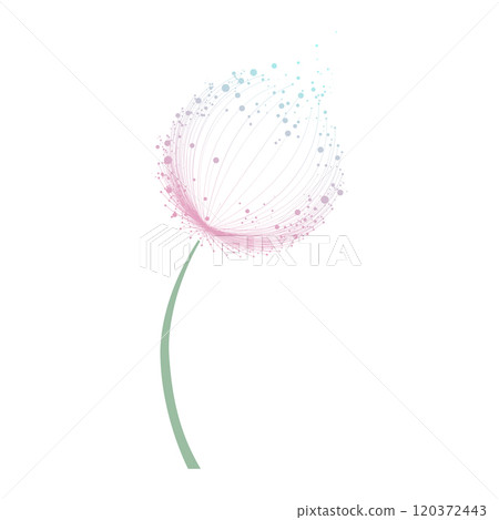 Abstract dandelion flower over white background 120372443