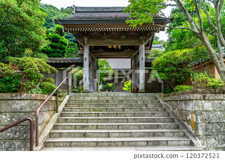 [神奈川縣] 鎌倉成壽院 被豐富的大自然包圍 120372521