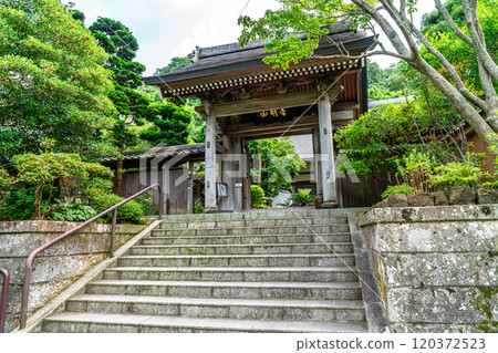 [神奈川縣] 鎌倉成壽院 被豐富的大自然包圍 120372523