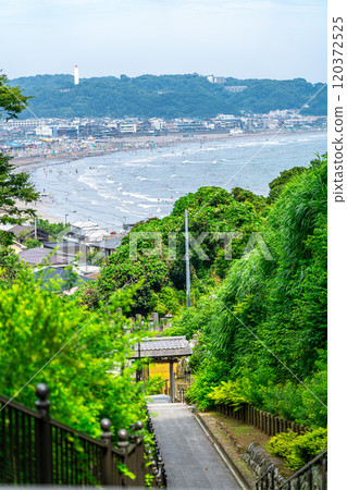 [Kanagawa Prefecture] The sea of Yuigahama as seen from Jojuin Temple in Kamakura 120372525