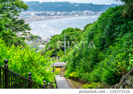 [Kanagawa Prefecture] The sea of Yuigahama as seen from Jojuin Temple in Kamakura 120372526