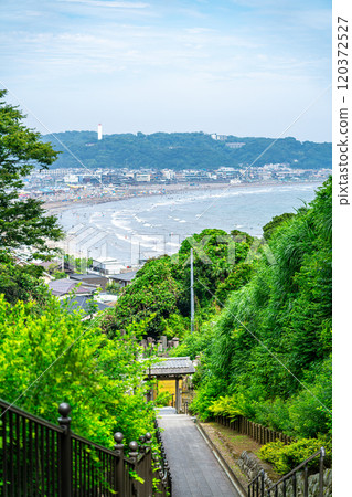 [Kanagawa Prefecture] The sea of Yuigahama as seen from Jojuin Temple in Kamakura 120372527