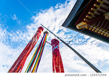 [Kanagawa Prefecture] Tanabata decorations at Tsurugaoka Hachimangu Shrine hung against a blue sky 120372544