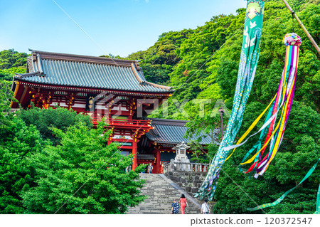 [神奈川縣]鶴岡八幡宮和大自然賜予的七夕裝飾品 120372547