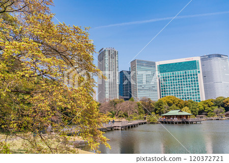 [東京] 東京的寧靜空間、濱離宮恩賜庭園的新綠、高樓 120372721