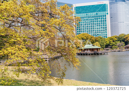 [東京] 東京的寧靜空間、濱離宮恩賜庭園的新綠、高樓 120372725