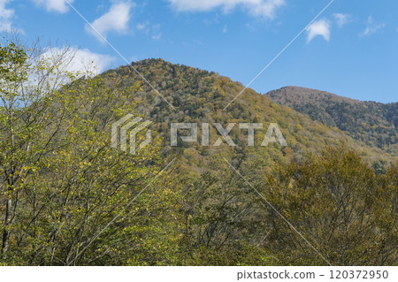The mountains of Gunma Prefecture in full autumn color 120372950