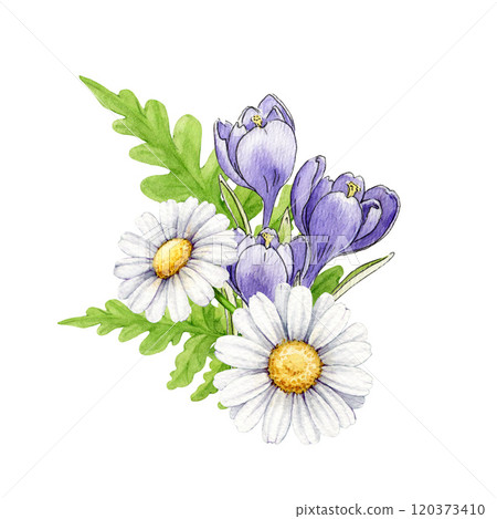 Spring season floral elegant decor from garden flowers vintage style illustration. Hand drawn crocus, daisies, fern decor element on white background. For holiday festive decor and seasonal design 120373410