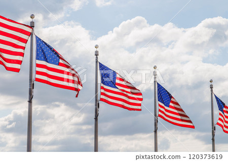 Rows of American flags waving against a blue sky 120373619