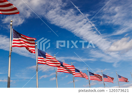 Rows of American flags waving against a blue sky Rows of American flags waving against a blue sky 120373621