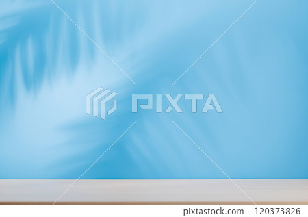 Template with empty table and wall with natural plant shadow and sunny glare Template with empty table and wall with natural plant shadow and sunny glare 120373826