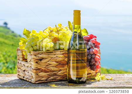 Bottle of white wine and basket of grape 120373850