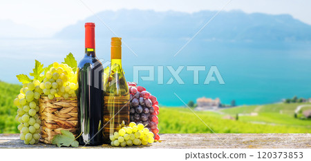A basket filled with various types of grapes and bottles of red and white wine 120373853