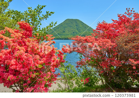Azaleas and Haruna Fuji seen from Lake Haruna in Takasaki, Gunma Prefecture in spring Azaleas and Haruna Fuji seen from Lake Haruna in Takasaki, Gunma Prefecture in spring 120373981