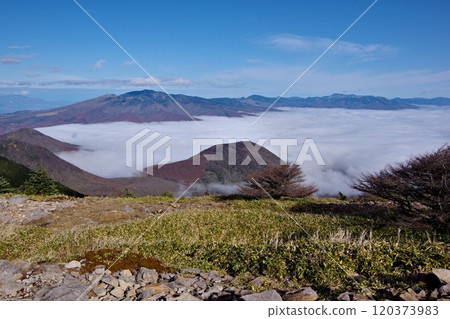 從淺間山脈的戶五郎山看到的什葉派山和雲海 從淺間山脈的戶五郎山看到的什葉派山和雲海 120373983