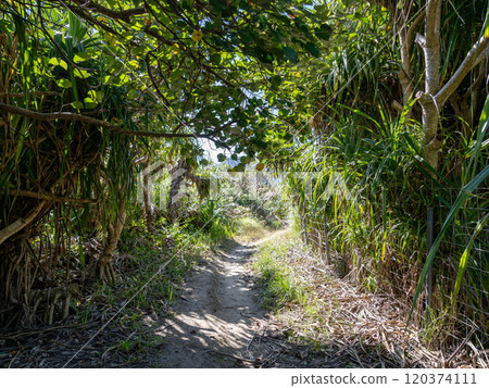 The road to Hizushi Beach on Aka Island in the Kerama Islands, Okinawa Prefecture 120374111