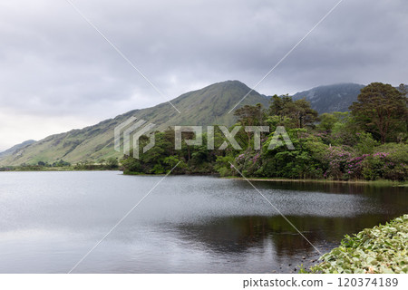A tranquil scene of Pollacapall Lough in Connemara, Ireland, with serene waters bordered by dense foliage and towering hills A tranquil scene of Pollacapall Lough in Connemara, Ireland, with serene waters bordered by dense foliage and towering hills 120374189