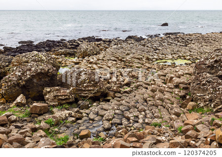 Giant's Causeway hexagonal basalt columns created by volcanic lava cooling and cracking over time 120374205