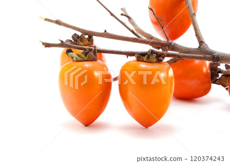 Delicious looking persimmon Delicious looking persimmon 120374243