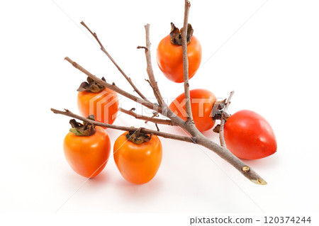 Delicious looking persimmon 120374244