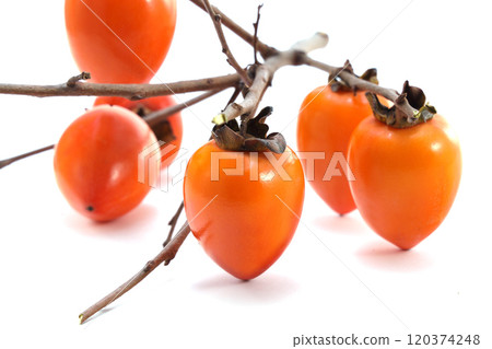 Delicious looking persimmon Delicious looking persimmon 120374248