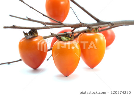 Delicious looking persimmon 120374250