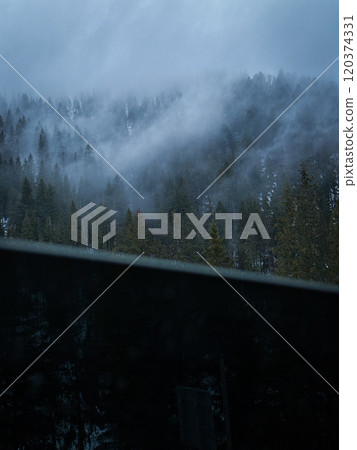 Beautiful wood in the mountains  120374331