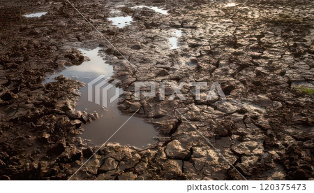 AI image: Ground after the rain 120375473