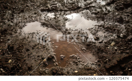 AI image: Ground after the rain 120375474