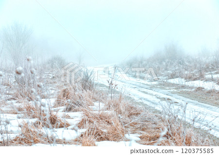 winter landscape. hoarfrost on plants in the field. strong frost winter landscape. hoarfrost on plants in the field. strong frost 120375585