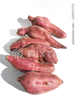 Sweet potato (beni-kogane) Sweet potato (beni-kogane) 120375711