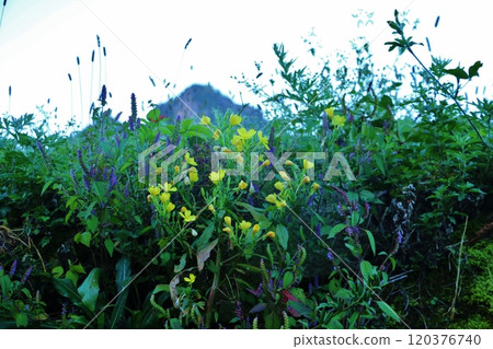 長野縣川上村川端高原的初秋景色 120376740