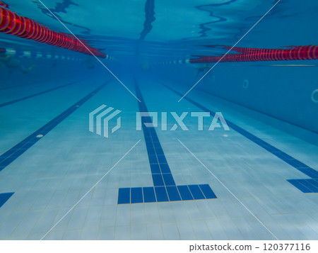 Underwater View of Empty Swimming Pool Lane Underwater View of Empty Swimming Pool Lane 120377116