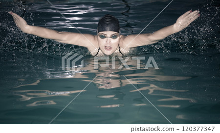 Woman athlete swimming butterfly stroke in pool. 120377347