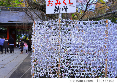 Visit a shrine and have your fortune told 120377508