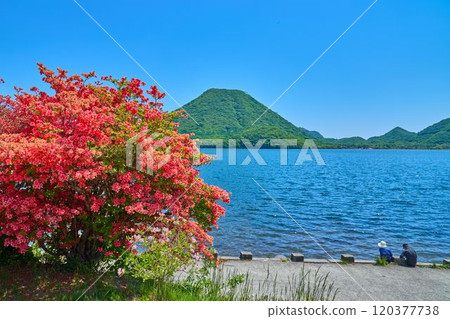 Azaleas and Haruna Fuji seen from Lake Haruna in Takasaki, Gunma Prefecture in spring 120377738