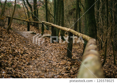 path with a wooden handrail in the forest in late autumn, Gdansk, Poland path with a wooden handrail in the forest in late autumn, Gdansk, Poland 120378025