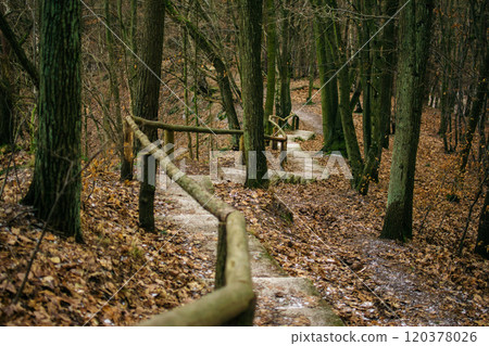 path with a wooden handrail in the forest in late autumn, Gdansk, Poland 120378026