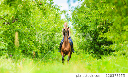 Young woman ridding on a horse Young woman ridding on a horse 120378655