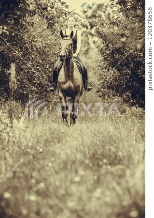 Young woman ridding on a horse Young woman ridding on a horse 120378656