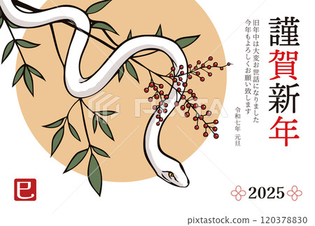 新年賀卡 2025 蛇年模板 120378830