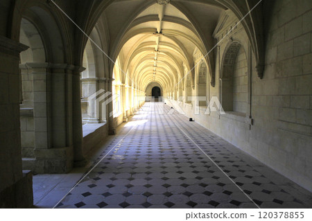 Fontevraud abbey, Saumur, Loire valley, France 120378855