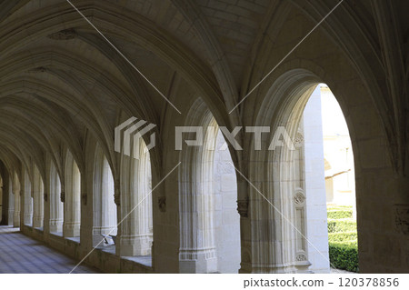 Fontevraud abbey, Saumur, Loire valley, France 120378856